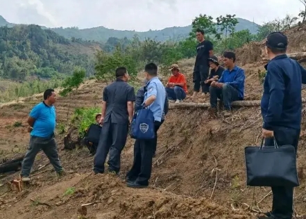 戛洒法庭：哀牢山下法治绘就民族团结最美“枫”景